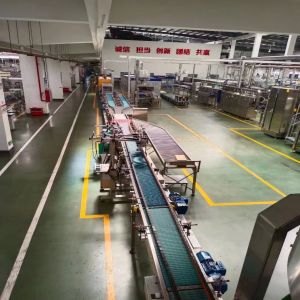 Turnkey Solution 100-2000ml Bottled Water Production Line with ISO9001:2001