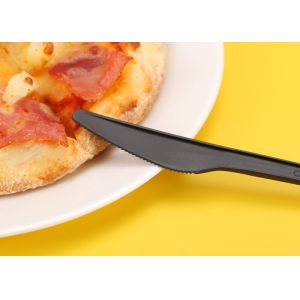 Eco Friendly Disposable CPLA Biodegradable Dinnerware