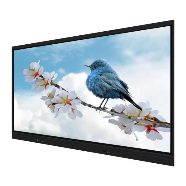 Buy 55 65 75 86 98 Inch Support Dual System Interactive Flat Panel Interactive Whiteboard Smart Board at wholesale prices