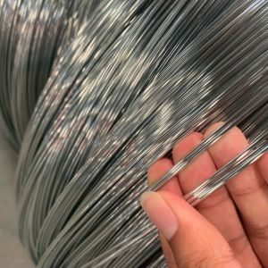 Fencing 12# 2.6mm 12 Gauge Galvanized Wire Coil