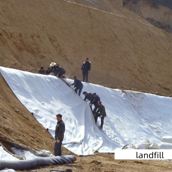 3500g-6500g Waterproofing Swelling Bentonite Clay Liners for Landfill Applicatio