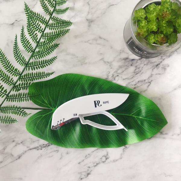 Buy Accurate Disposable Skin Stapler Reducing Epidermal Tissue Injury at wholesale prices