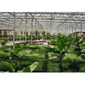 Galvanized Pipe Sightseeing Greenhouse Restaurant Custom Shaped 4600㎡