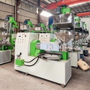 Small Household Screw Oil Press/Commercial Large Yield Oil Pressing Machine