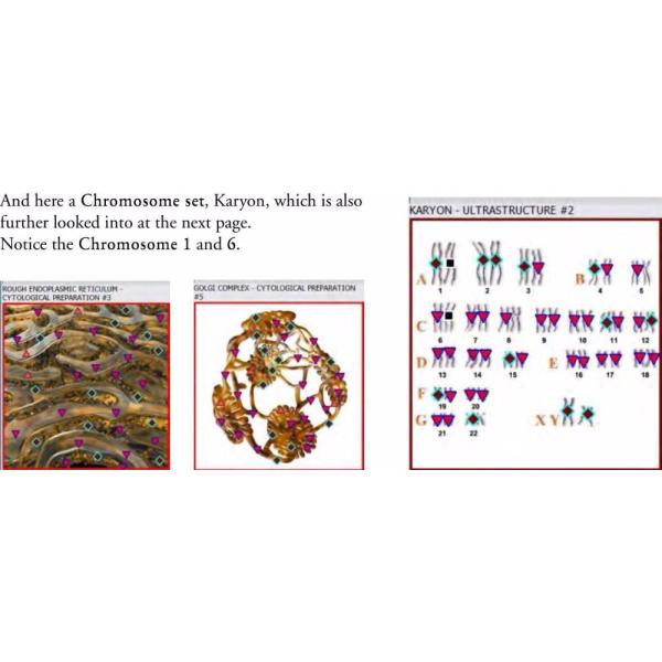 Metatron hunter 4025 with german software