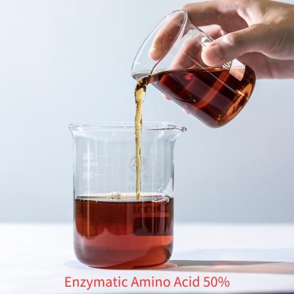 Agricultural Liquid Fertilizers Polypeptide Amino Acid Fertilizer Plant