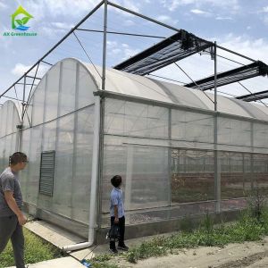 Hot Galvanized Steel Plastic Film Greenhouse For Agricultural