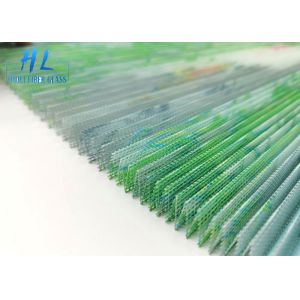 Anti Mosquito Plisse Insect Screen Polyester Printing 18*15 80g