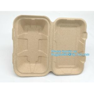 Compostable Dinnerware Corn Starch Biodegradable Meat / Cake / Rectangular Tray