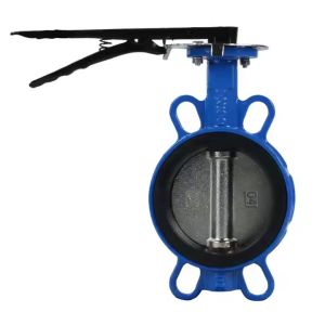 Quality DN50 PN16 Ductile Iron Handle Clamp Soft Seal Butterfly Valve Bolted Connections for sale