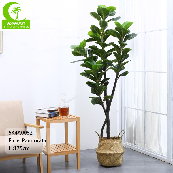 Buy Flame Retardant Height 155cm Aesthetic Artificial Ficus Lyrata With Pot at wholesale prices