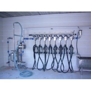 Pipeline Cow / Goat Milking Parlor With A Milk Transport Conduit
