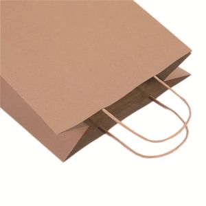 Custom Offset Printing Kraft Paper Gift Bag With Twisted Handle
