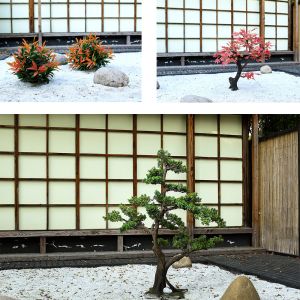 Anti - Fading Plastic Artificial Landscape Trees For Airport Interior Decoration