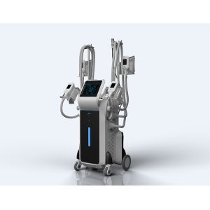 Quality Hottest 2019 in USA cryo 4 head working at same time coolsculpting body slimming machine for sale