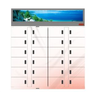 Winnsen Vegetable Refrigerated Frozen Locker Outdoor Flowers Goods lockers