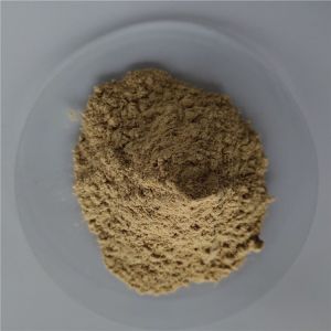 Best Selling Products Codonopsis Pilosula Extract