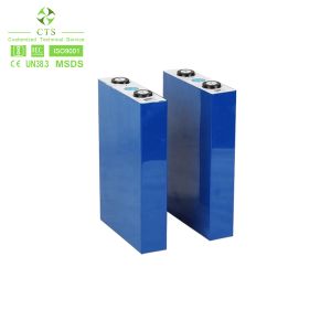 CTS 3.2V 110ah Prismatic LiFePO Battery Cells with 5100g Nominal Capacity