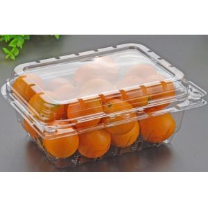 Hot Selling Plastic PET Sandwich Containers Cake Bread Container Plastic