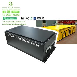 CTS Lifepo4 Lithium Ion OEM Battery Pack 48v 60v 72v 96v 50ah 100ah 150ah 200Ah