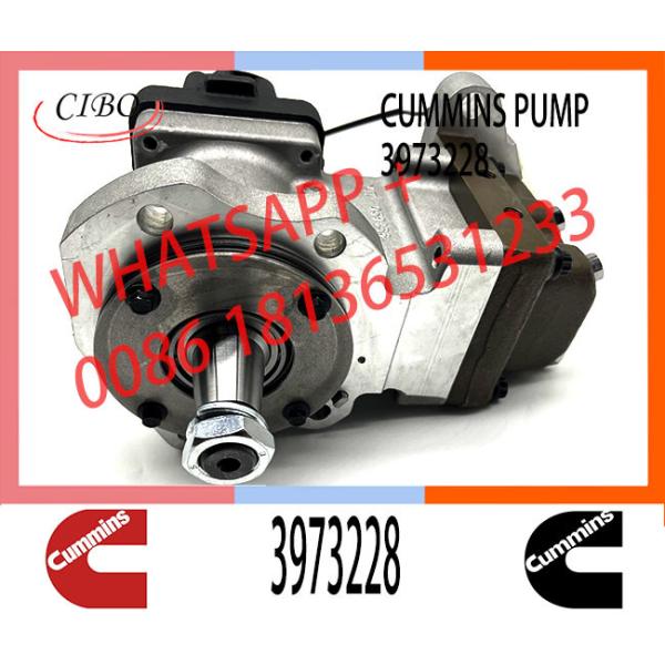 6745-71-1170 6745-71-1010 3973228 4954200 PC300-8 Engine SAA6d114 Qsc Excavator Fuel Pump