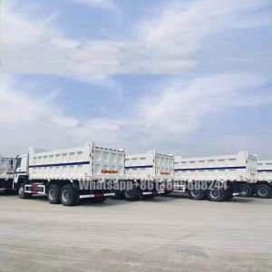 White 6*4 HOWO 371 Horsepower 5.6 m Dumper for Export Dump Trailer