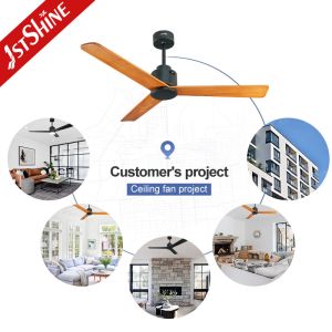 2022 Indoor Decorative BLDC Fan Ceiling Fan Light with Remote Control in Mulit