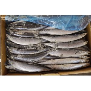 1# BQF Seafrozen Pacific Saury Fish With Bulk Packaging
