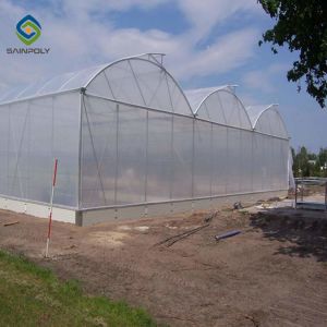Arch Roof 10.8m PC Sheet Greenhouse Flower Growing