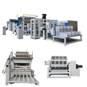 1500pcs/h-6000pcs/h Capacity Pulp Molding Machine For Big Capacity Recyclable