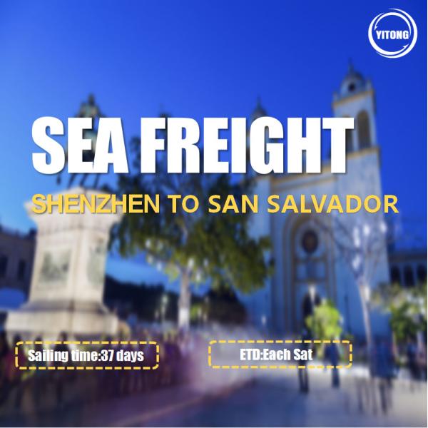 Buy Shenzhen To  San Salvador International Ocean Logistics Via ACAJUTLA at wholesale prices