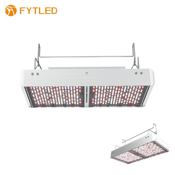 Buy FULL SPECTRUM PLANT LIGHT FOR TOMATOES FLOWERS CROPS GROWING LED LIGHTING at wholesale prices