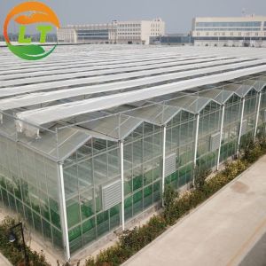 Quick Construction Vegetables Growing Greenhouse with Complete Multi Span Design