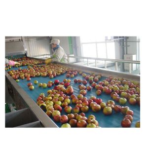 Professional Supplier for Fruit Juice Processing plant Fruit Juice Making Line
