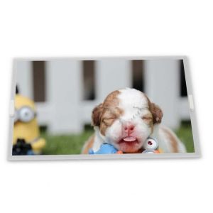 High-quality Services AA084VF03 Lcd Module 8.4 Inch Tft Lcd Screen 640*480 CCFL