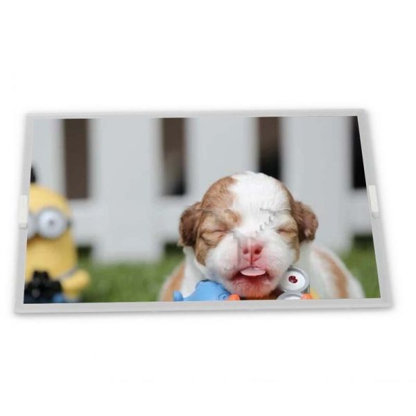 High-quality Services AA084VF03 Lcd Module 8.4 Inch Tft Lcd Screen 640*480 CCFL