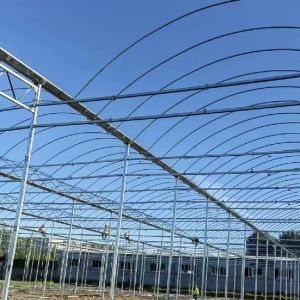 Customization Multi-Span Film Greenhouse with US Currency and Customized Request