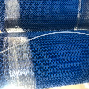 Customized Plastic Conveyor Belt for Logistics Transmission