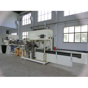 Plc Controller Sanitary Napkin Packing Machine Infeed By Manual