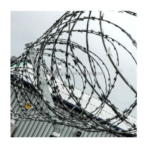 Galvanized/PVC Coated Farm Barbed Wire Hot Dipped Galvanized for Agricultural