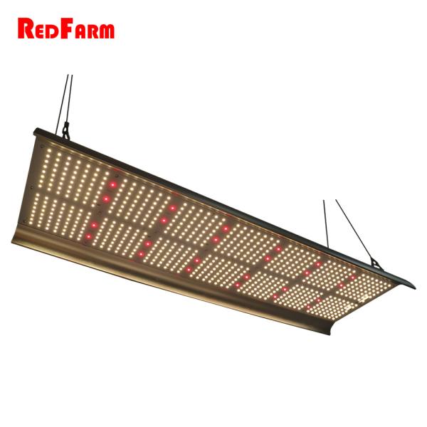 Buy Hydroponics Flowering 330W G2 Quantum Board LED Grow Lights at wholesale prices