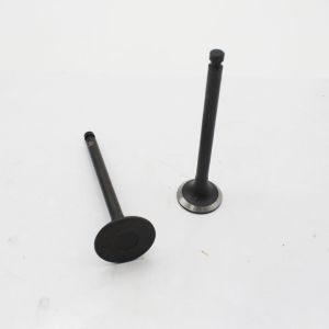 YANMAR 3T82 Diesel Engine Exhaust Valve Multipurpose Durable