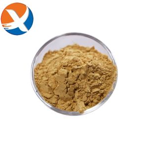 Density 0.6–0.8 G/cm3 Solid Powder Mineral Processing Reagent Stable Performance