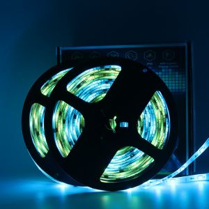 DC12V work with Alexa google assistance App and remote rgb rgbic addressable