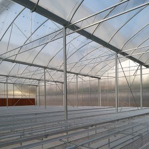 IGreen Tunnel Strawberry Greenhouses PE Greenhouse for Vegetable and Flower