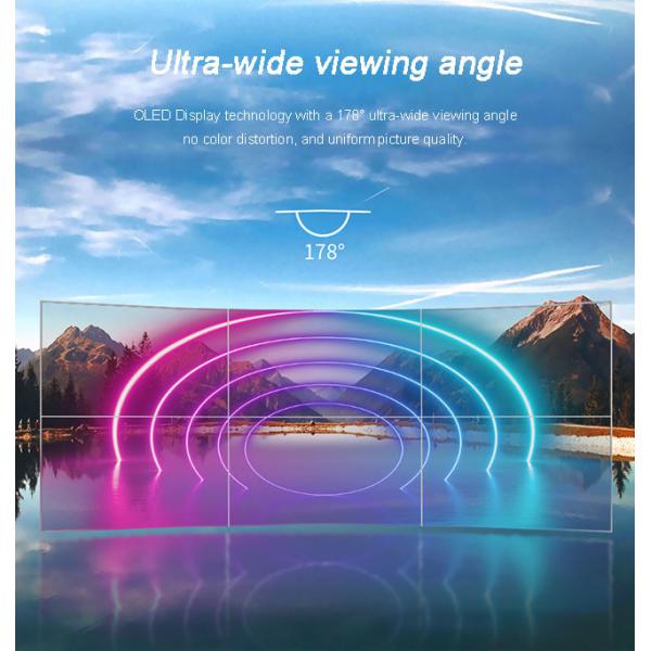 Full HD 55 Transparent OLED Touch Screen See Through OLED Display