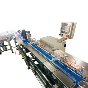 Automatic Flow Pack Packaging Machine - Complete Line for Bakery Foods, Swiss