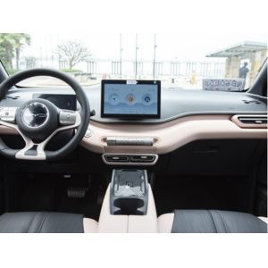 Yellow Byd Seagull Hatchback Vehicle Automobile Pure Electric 5 Seat