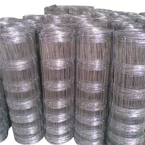 Anping manufacturers directly sell galvanized rust-proof wire mesh breeding