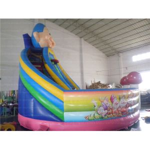 Fun Inflatable Slide (CYSL-21)